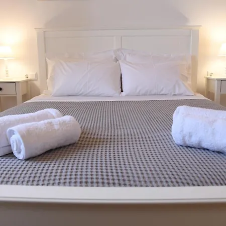 Villa Andros Neoclassical Np1926 With Private Pool *