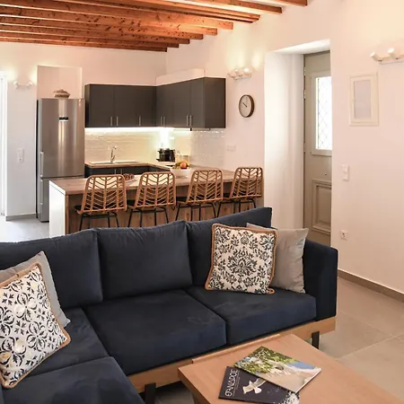 Andros Neoclassical Np1926 With Private Pool *