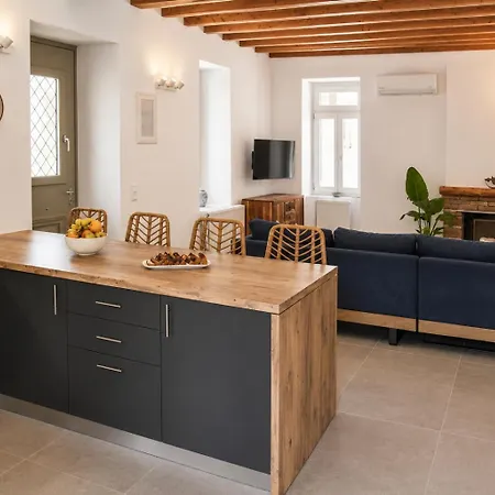 Andros Neoclassical Np1926 With Private Pool Stenies