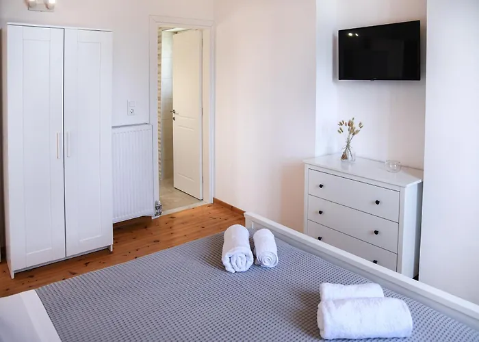 Andros Neoclassical Np1926 With Private Pool Villa