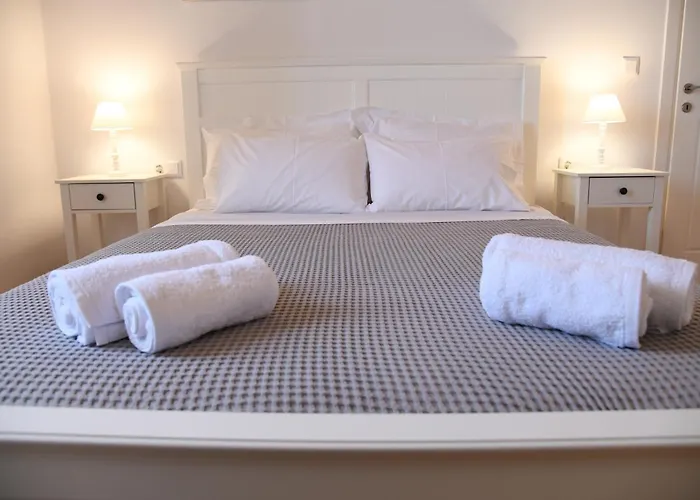 Villa Andros Neoclassical Np1926 With Private Pool *