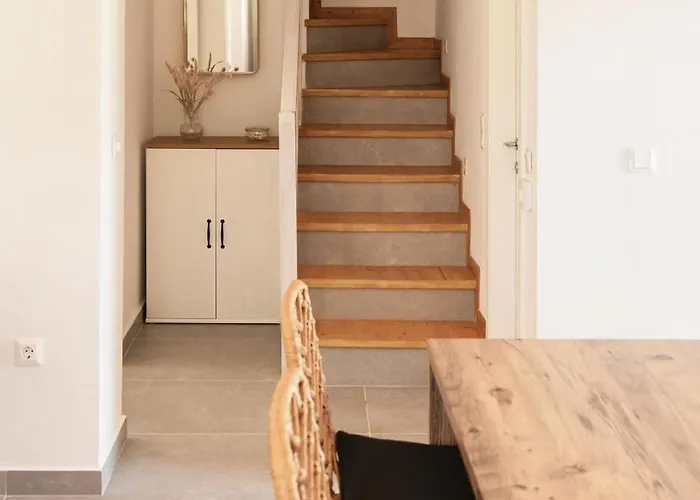 Andros Neoclassical Np1926 With Private Pool Villa Stenies