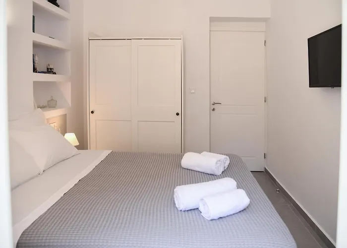 Villa Andros Neoclassical Np1926 With Private Pool