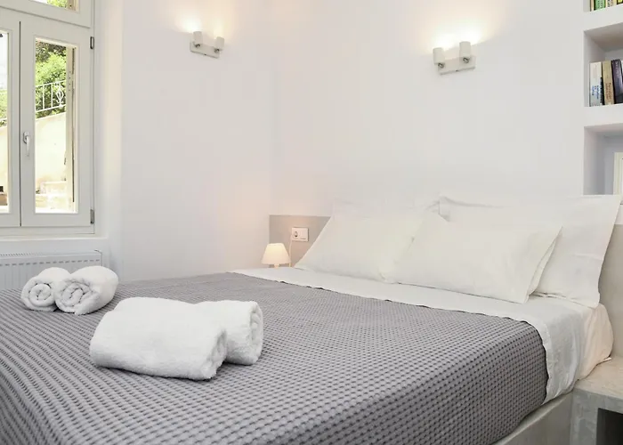 Villa Andros Neoclassical Np1926 With Private Pool