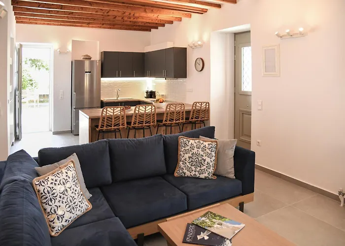 Andros Neoclassical Np1926 With Private Pool *